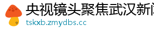 央视镜头聚焦武汉新闻网